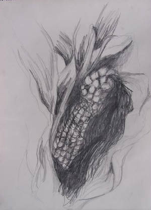 cornstudyii1990.jpg